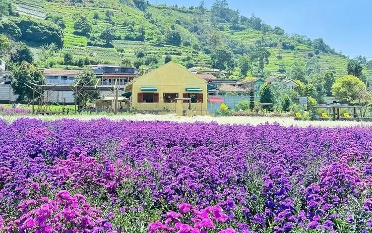 Keindahan Flora Bandung: Menelusuri Taman dan Kebun Raya