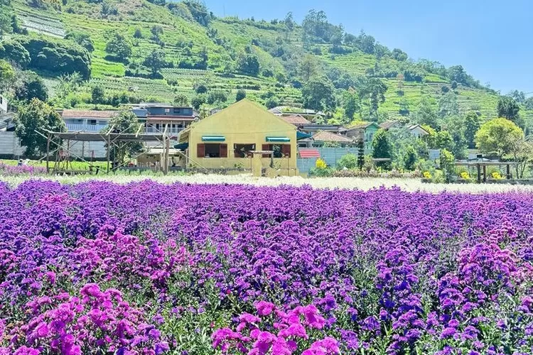 Keindahan Flora Bandung: Menelusuri Taman dan Kebun Raya